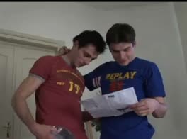 Hot trio barebacking